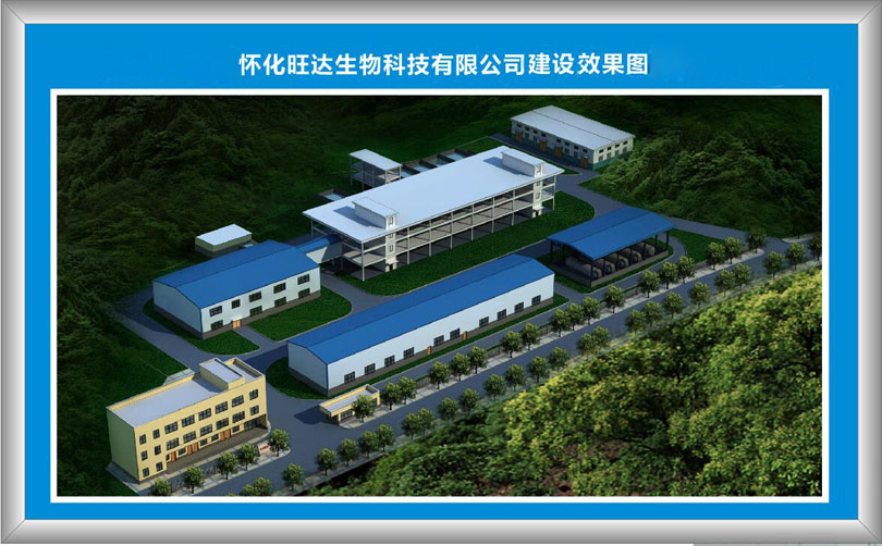 开元在线,开元在线(中国)